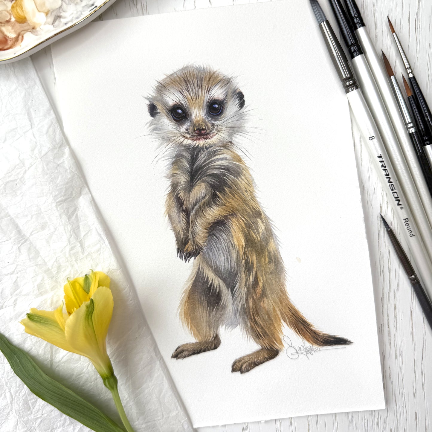 Baby Meerkat. Original watercolor painting.