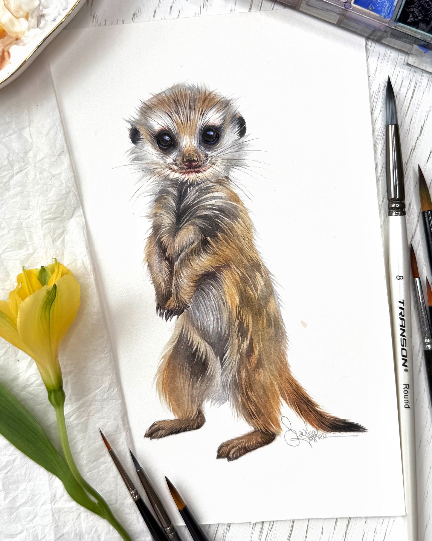 Baby Meerkat. Original watercolor painting.