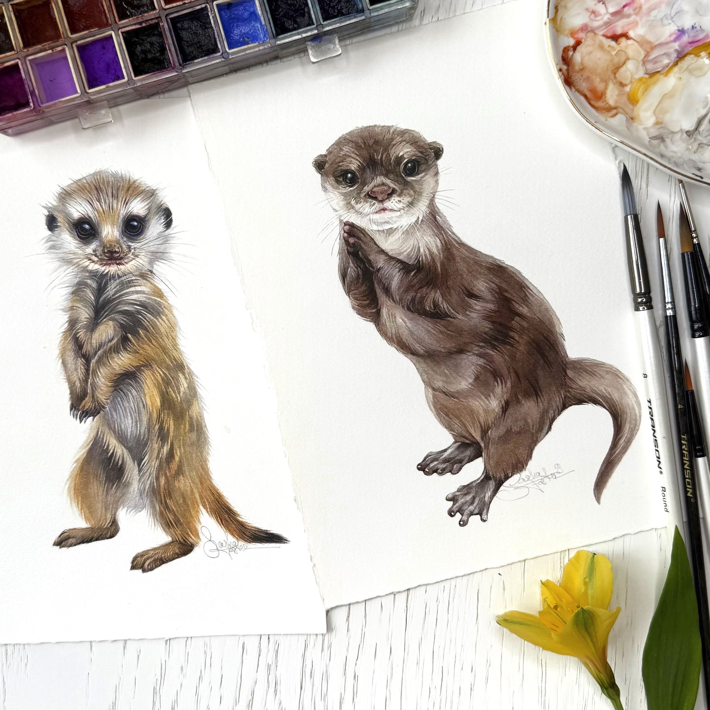 Baby Meerkat. Original watercolor painting.