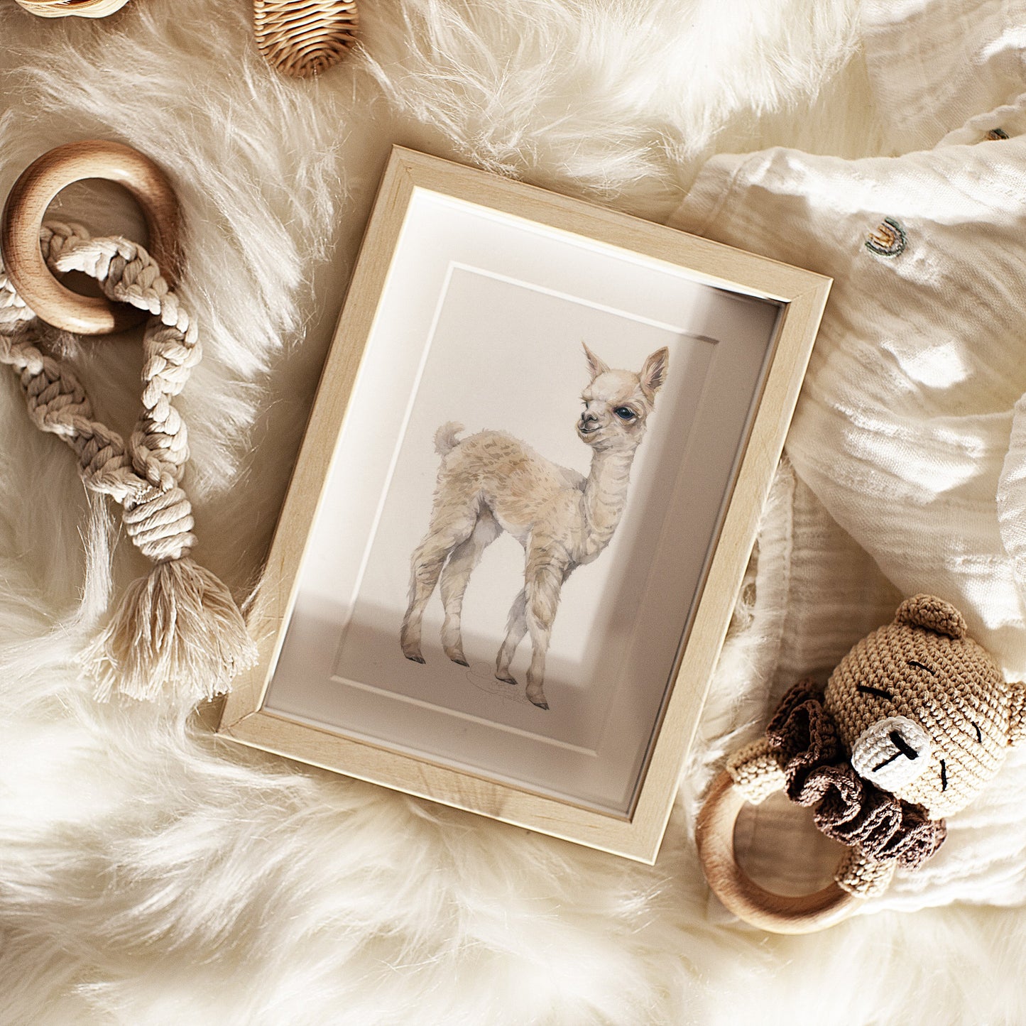 Baby Alpaca. Original watercolor painting.