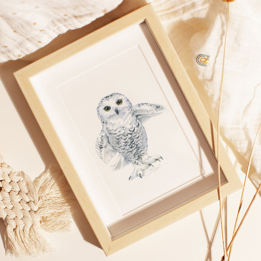 Baby Snowy Owl. Original watercolor painting.