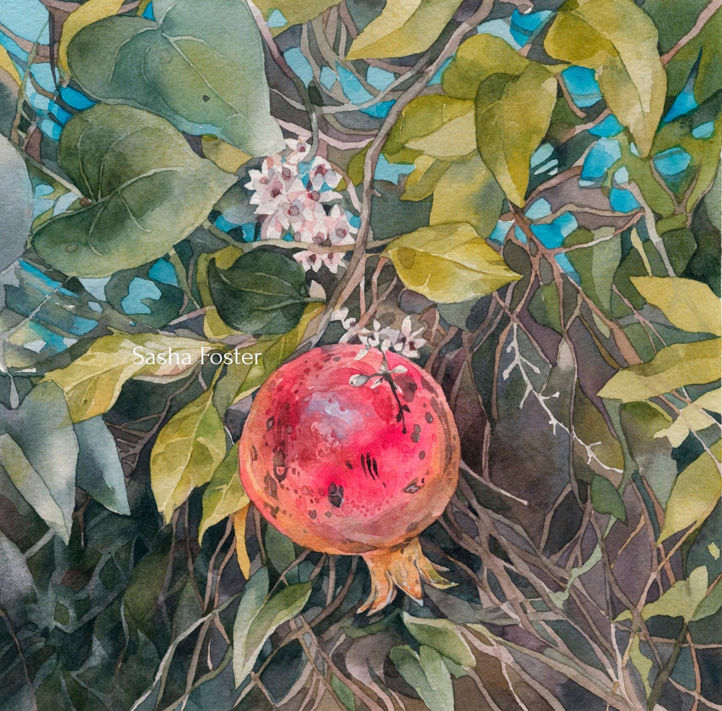 Scarlet Jewel. Original watercolor painting.