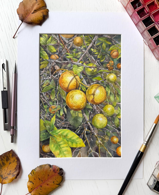 Sunkissed Citrus. Original watercolor painting.