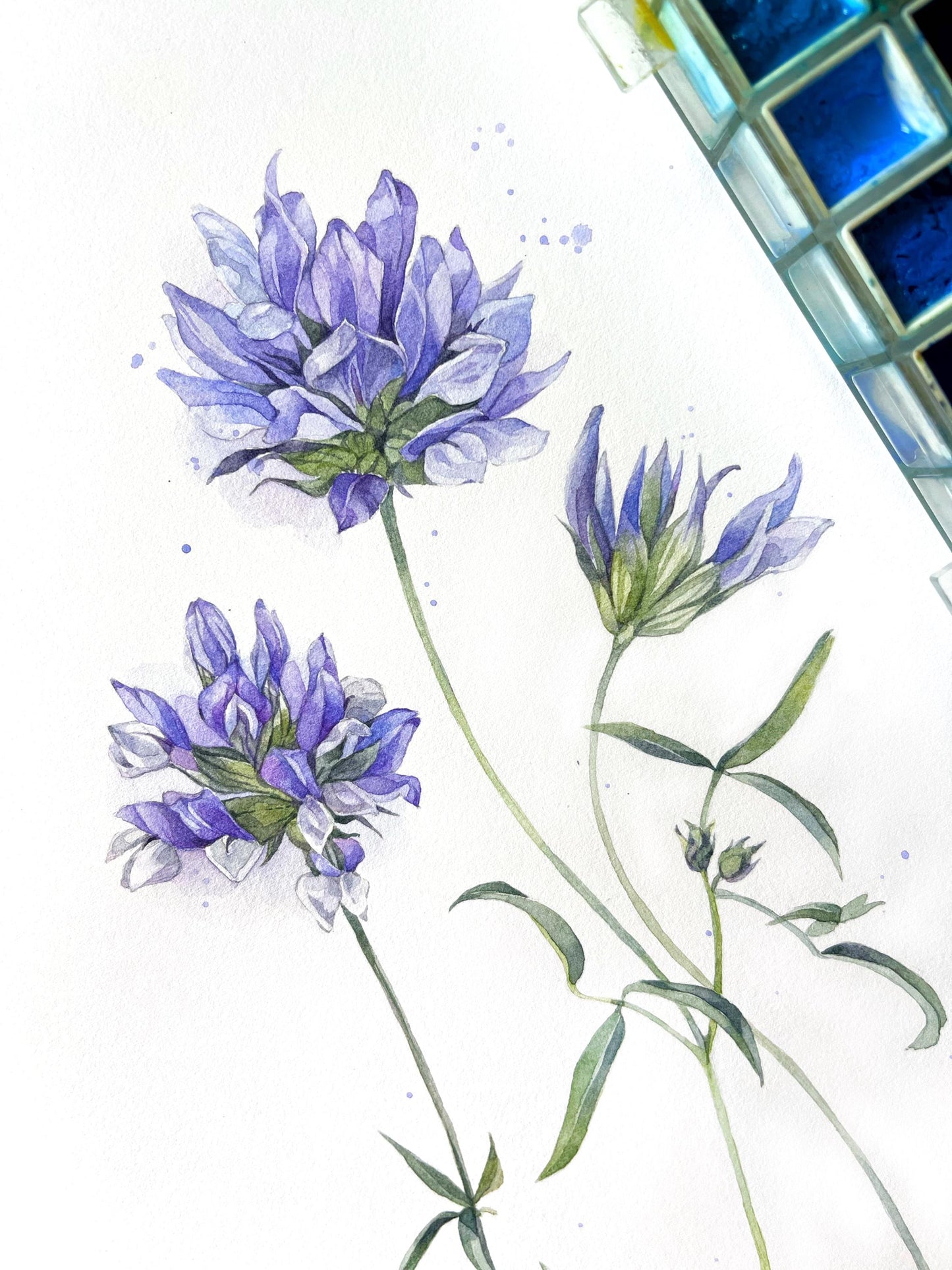 Blue Wildflowers. Original watercolor painting.