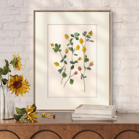 Yellow wildflowers. Original watercolor painting.