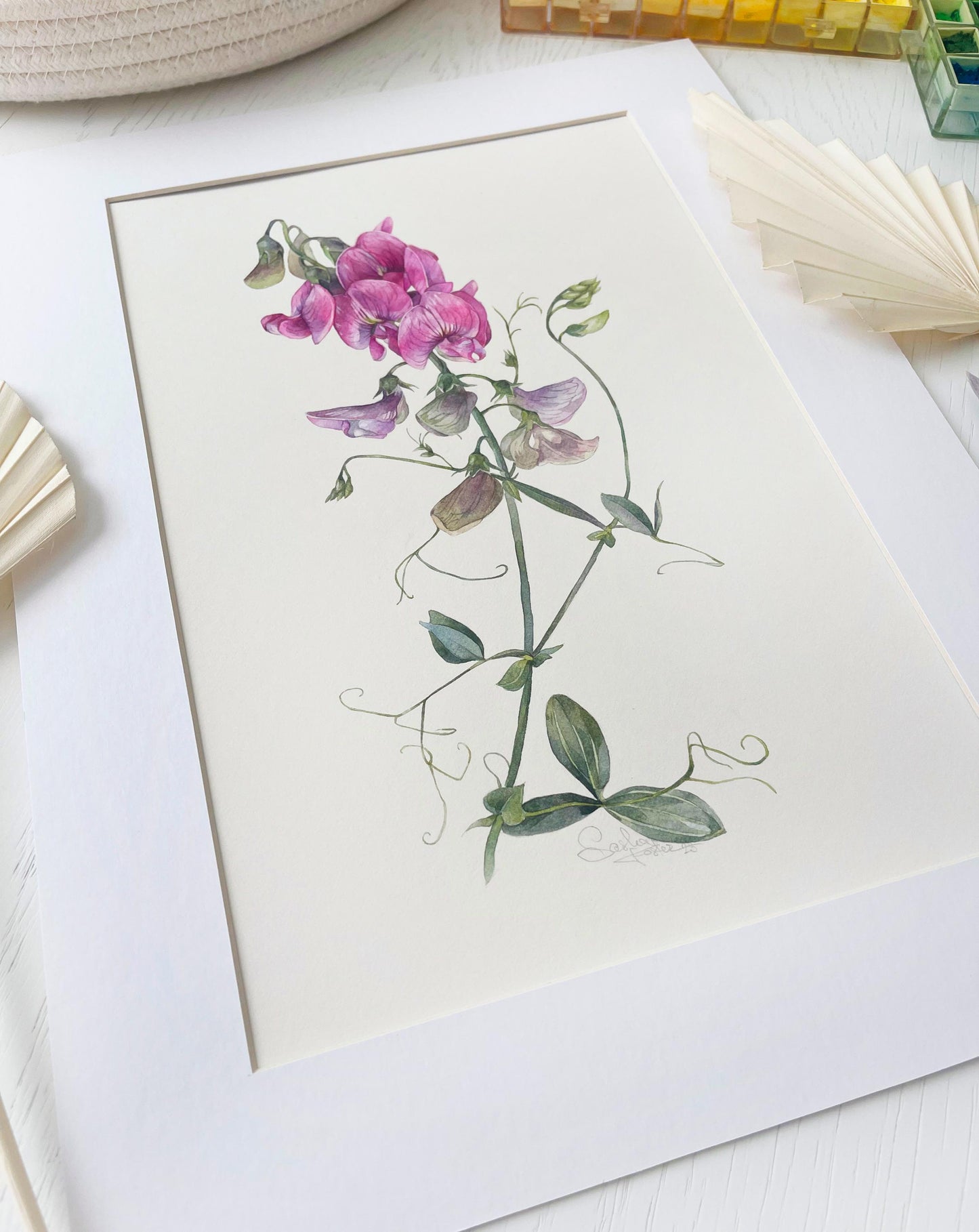 Sweet Pea Wildflowers. Original watercolor painting.
