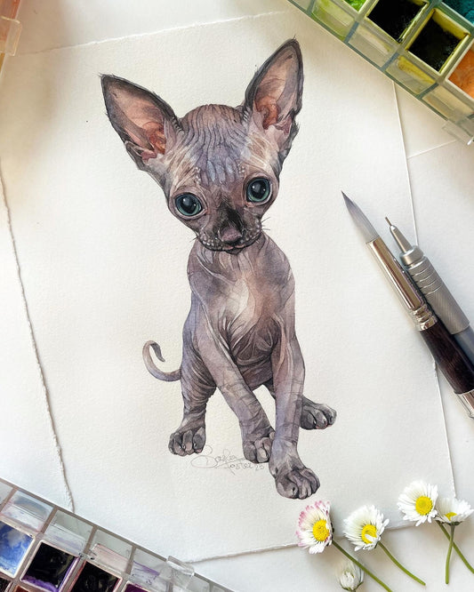 Sphynx Kitten. Original watercolor painting.