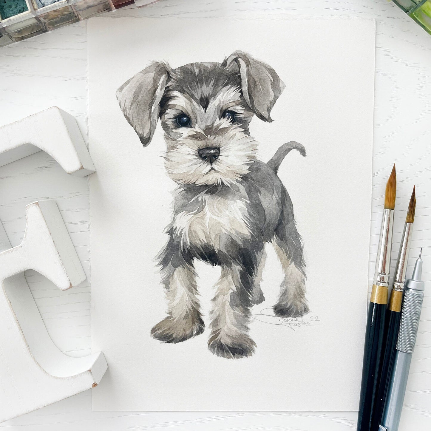 Baby Schnauzer. Original watercolor painting.