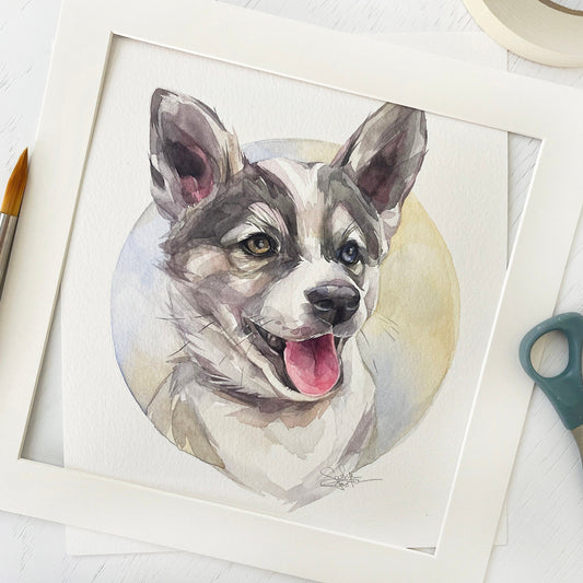 Albert the Husky. Original watercolor painting.
