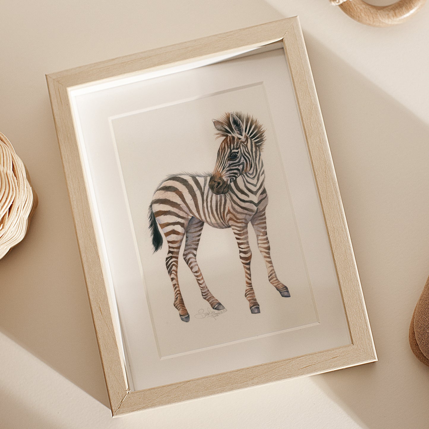 Baby Zebra. Original watercolor painting.
