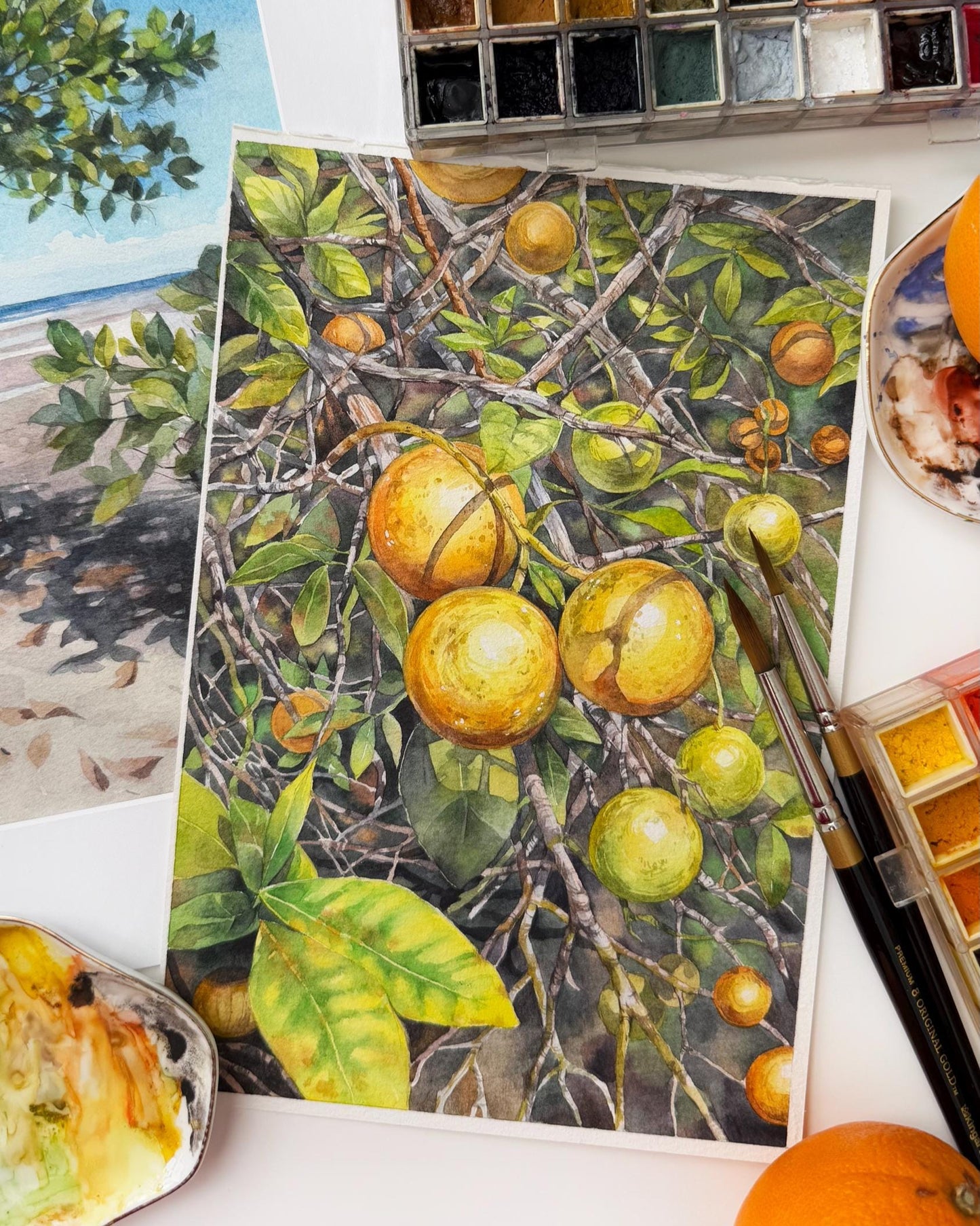 Sunkissed Citrus. Original watercolor painting.