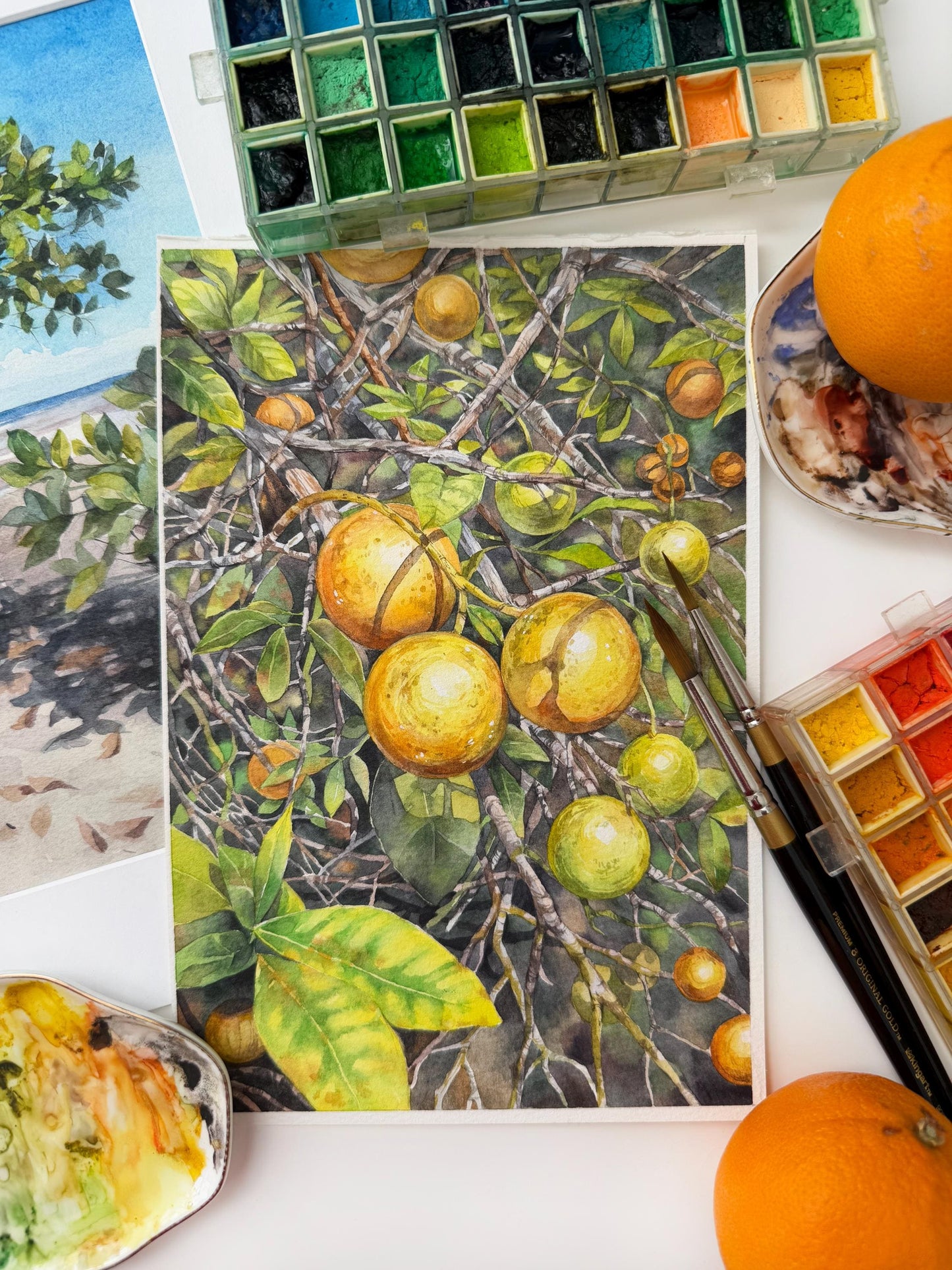 Sunkissed Citrus. Original watercolor painting.