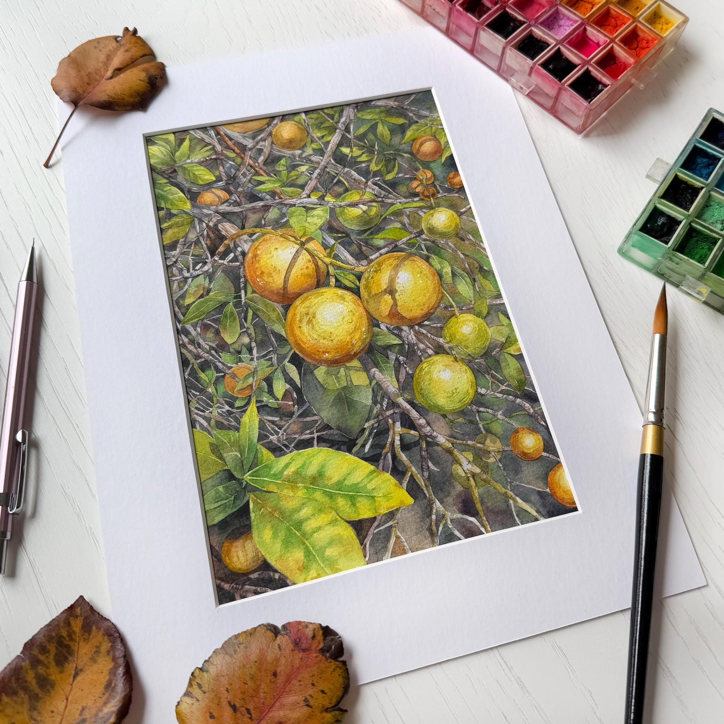 Sunkissed Citrus. Original watercolor painting.