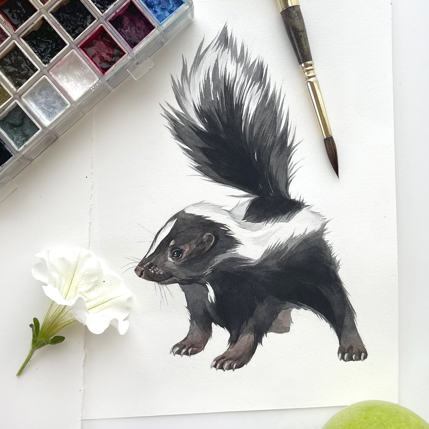 Baby Skunk. Original watercolor painting.