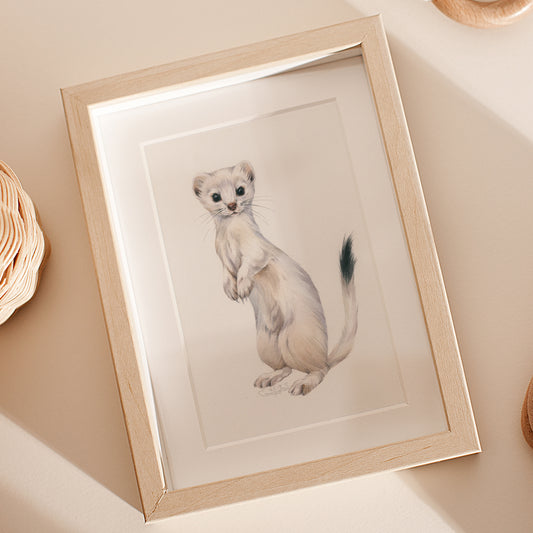 Baby Ermine. Original watercolor painting.