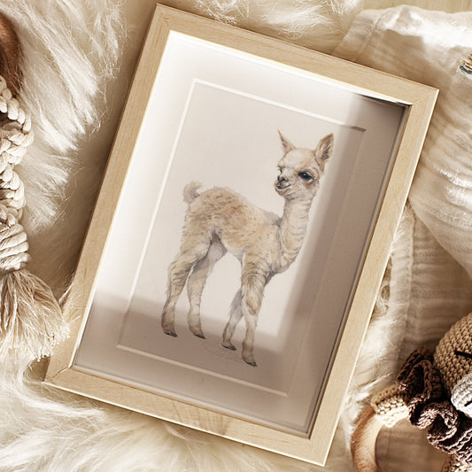Baby Alpaca. Original watercolor painting.